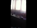 Demo manele YAMAHA PSR-433