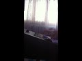 Demo manele YAMAHA PSR-433