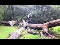 Bike Trials - Natural - Echo 24