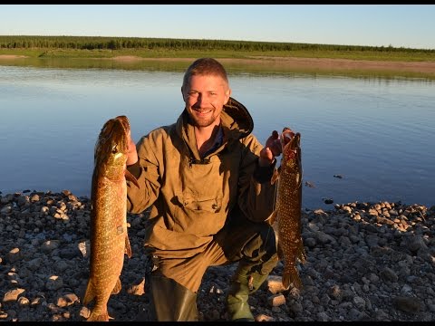 рыбалка в якутии видео на лене рыбалка в якутии видео на лене