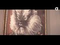 Colonel Meow's Diaries: A Rise to Power