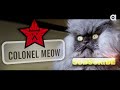 Colonel Meow's Diaries: A Rise to Power