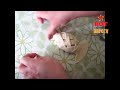 Рыбные пирожки из дрожжевого теста