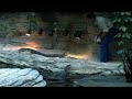 Gaylord Palms video tour