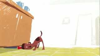 Quando as coisas desaparecem