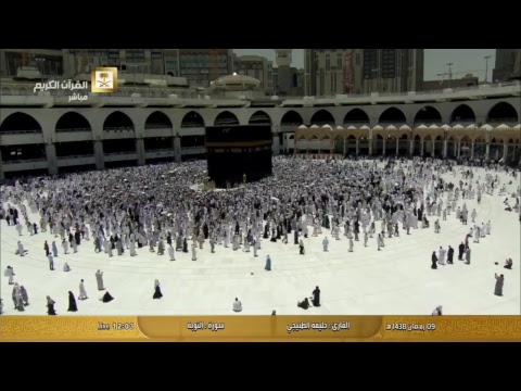 قناة القران الكريم Live Stream