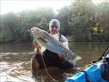 Hardcore Swimbait Stripers