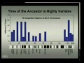 L'evoluzione del genere Homo seconda parte