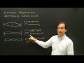 Waves and Harmonics in Physics