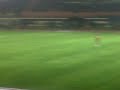 Anjing Ikut Main Bola..3GP