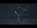 VIDEO, LETRA Y TRADUCCION VIDEO, LETRA Y TRADUCCION