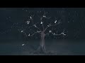 VIDEO, LETRA Y TRADUCCION VIDEO, LETRA Y TRADUCCION