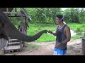 Backpacking - Southeast Asia