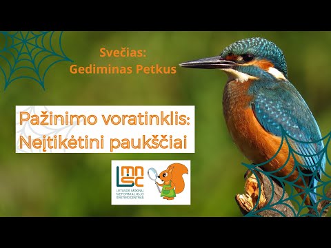 LMNŠC nuotolinių gamtos pamokų ciklas „Pažinimo voratinklis“. Neįtikėtini paukščiai