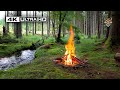 4K  This is a Real Forest Campfire Soothing Sounds of Nature Ultra HD