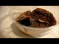 Tarantula Feeding Video 104 - Biggest One Yet Including Awesome Surprises