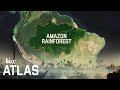 The destruction of the Amazon, explained - 2019
