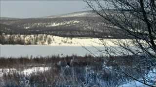 earth tip | Wild Sweeden - Look in my Eyes Wild Sweeden - Look in my Eyes