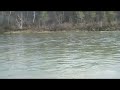 Snake Roll, SIngle Spey and Circle C