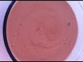 CHOCOLATE GELATO ice cream Recipe How To Cook That by Ann Reardon