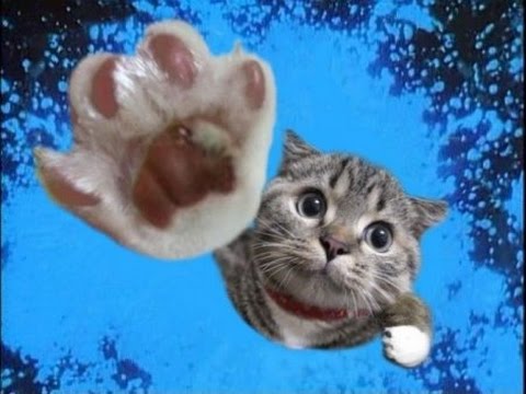 Поздравления с днем рождения отдыхающим 158