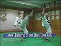 Hapkido Training at Home Single Kicks