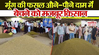 मूंग की फसल औने-पौने दाम में बेचने को मज़बूर किसान
