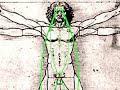 Human Harmonics - Chakras & Acupuncture points