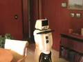 Mobile Robot Navigates Dining Room & Kitchen