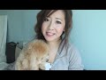 50 Facts About Me | Bubzbeauty
