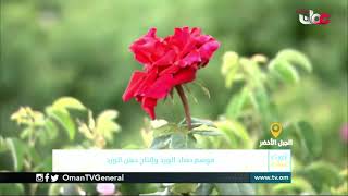 ربط مباشر من نيابة الجبل الأخضر بولاية نزوى بمحافظة الداخلية للحديث حول موسم حصاد الورد وإنتاج دهن ا