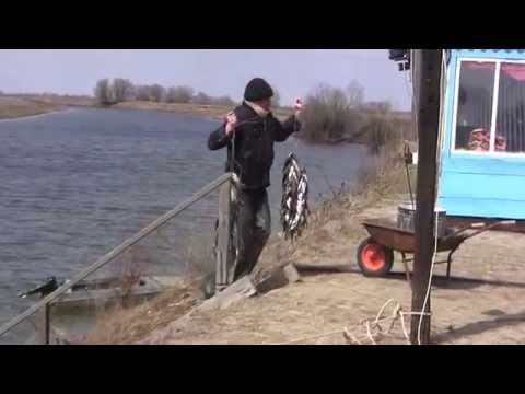 прогноз клева ува удмуртия прогноз клева ува удмуртия