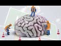LA COSCIENZA QUANTICA.