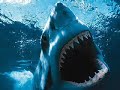 MEGALADON PREHISTORIC SHARK - but does it still exist