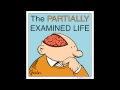 Partially Examined Life podcast - Interview with David Chalmers
