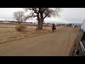 Black horse galloping