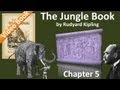 Chapter 05 - The Jungle Book by Rudyard Kipling