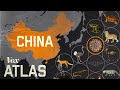 Why new diseases keep appearing in China - VOX - 2020