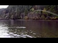 Fly Fishing For Salmon In Squamish BC