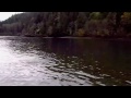 Fly Fishing For Salmon In Squamish BC
