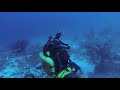 just another dive