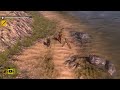 How to Survive - Now Playing