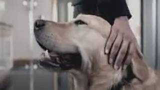 Удачное утро!!! Удачное утро!!!