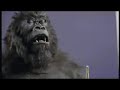 Cadbury's Gorilla Advert Aug 31st 2007