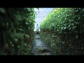 2013雲林農業博覽會甜度12影像展-實-傅榆導演