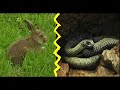 Animal Fight Club 2 !! :