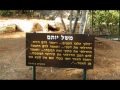 שופטים בתמונות
