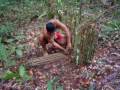 Amazônia - Armadilha indígena - 1