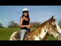 Paint Horse Galloping