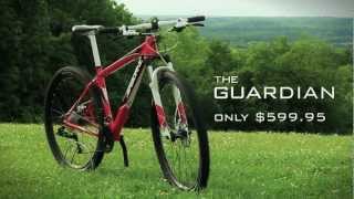 airborne guardian bike